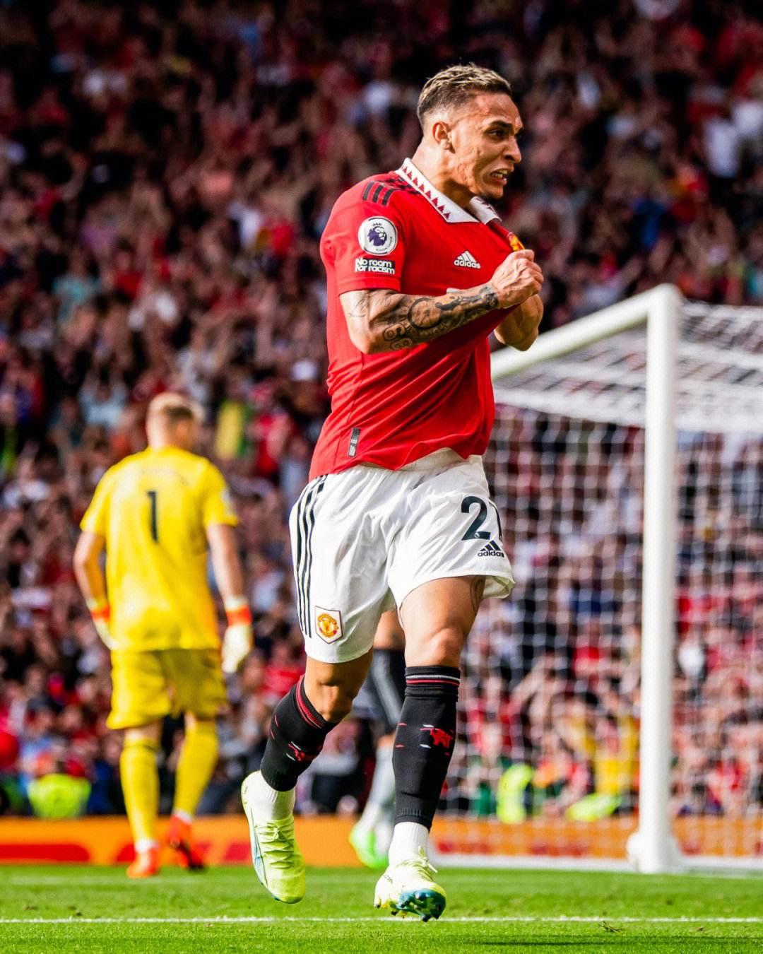 艾顿软货 艾顿软货