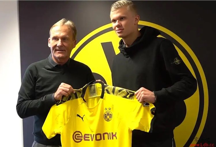 攻体系的三 攻体系的三